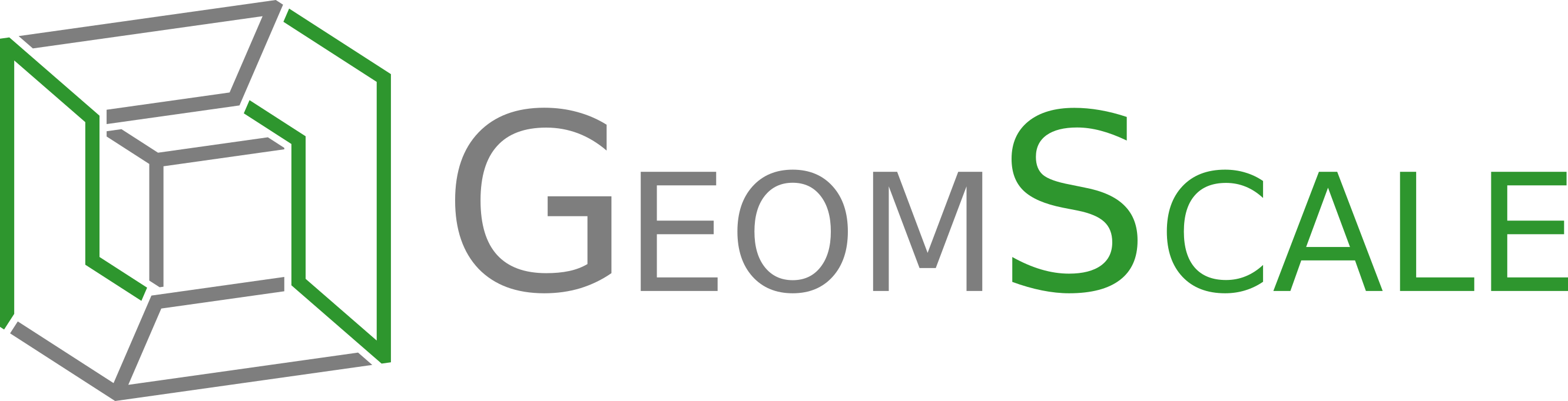 GeomScale org